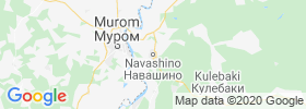 Navashino map